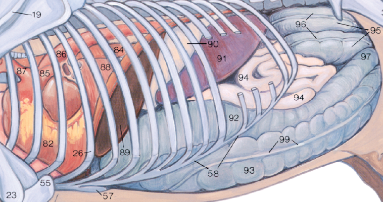 <p>95</p>