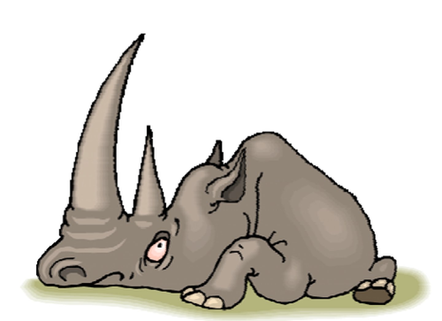 <p>een neushoorn</p>