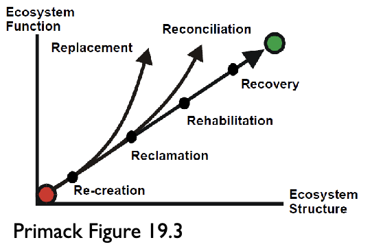 * decisions must be made about the best course of action; take no action, partially restore it, or restore it to its original state
* ‘re-creation’
  * reconstruction of an ecosystem that is virtually destroyed (e.g. mine site)
* ‘reclamation’
  * restoration of a severely degraded ecosystem (e.g., schoolground)
* ‘rehabilitation’
  * restoration of some of the original elements of structure or function