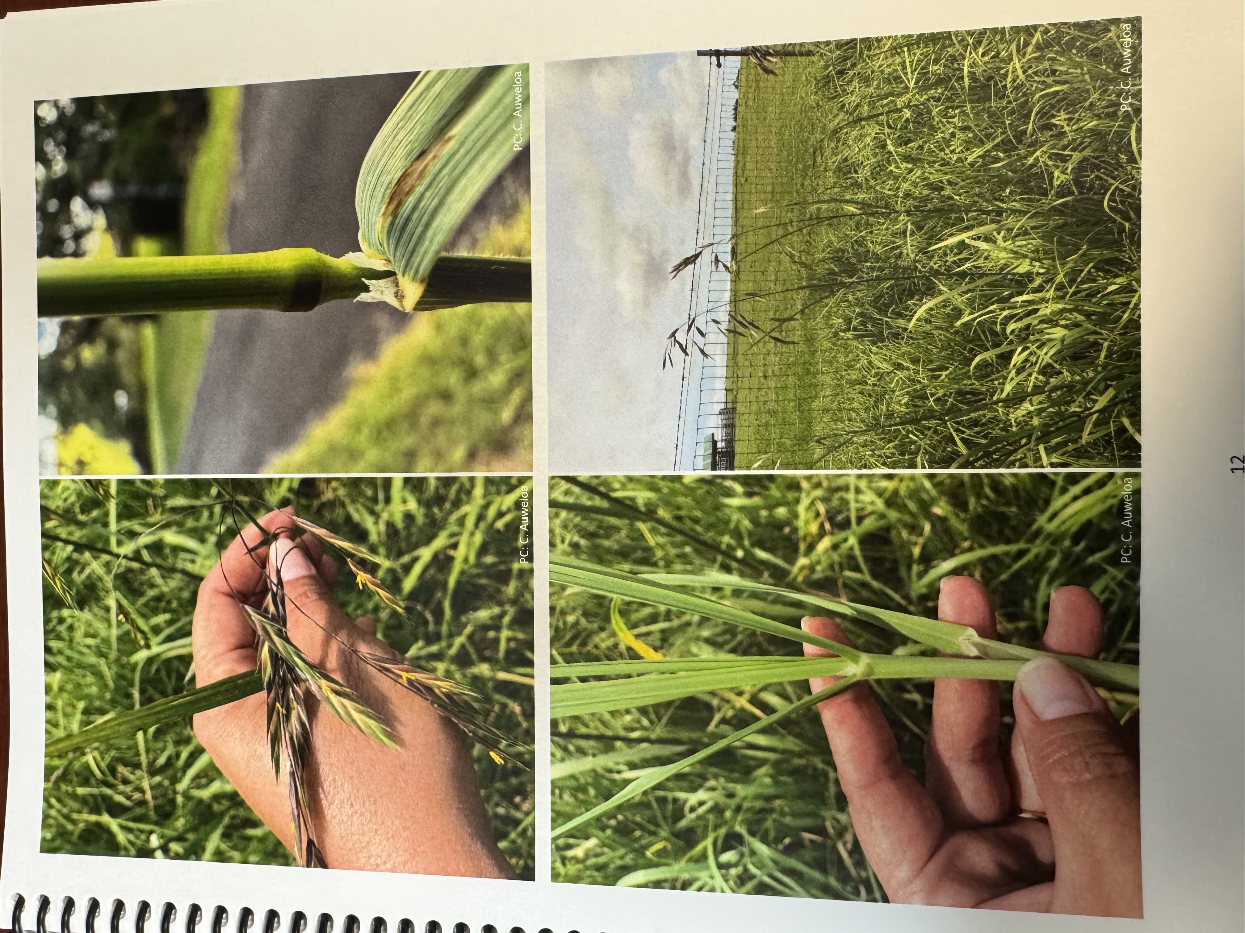 <img src="blob:null/c80c036c-e8ff-45a7-80ff-ec5f7ad905dd"><p></p>