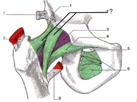 <p>Nom et caractéristiques de cette structure ?</p>