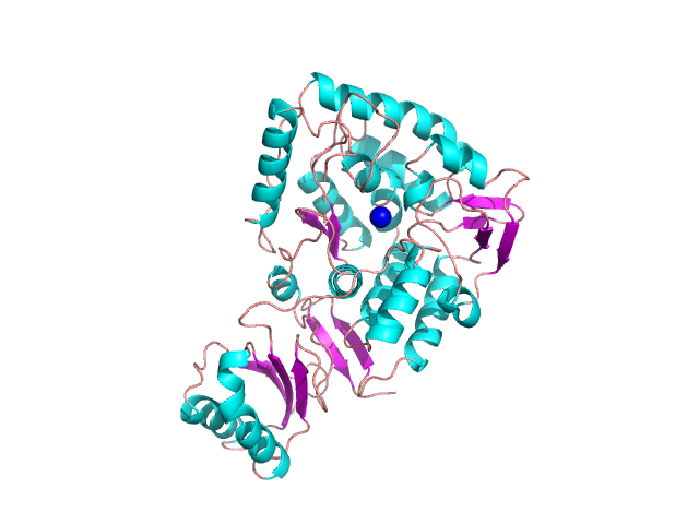 What color are the alpha helices in the picture?

\
magenta

 

light pink

 

dark blue

  

light blue