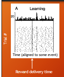 <p>what is the peristimulus time histogram (PSTH)</p><p>what is raster plot</p>
