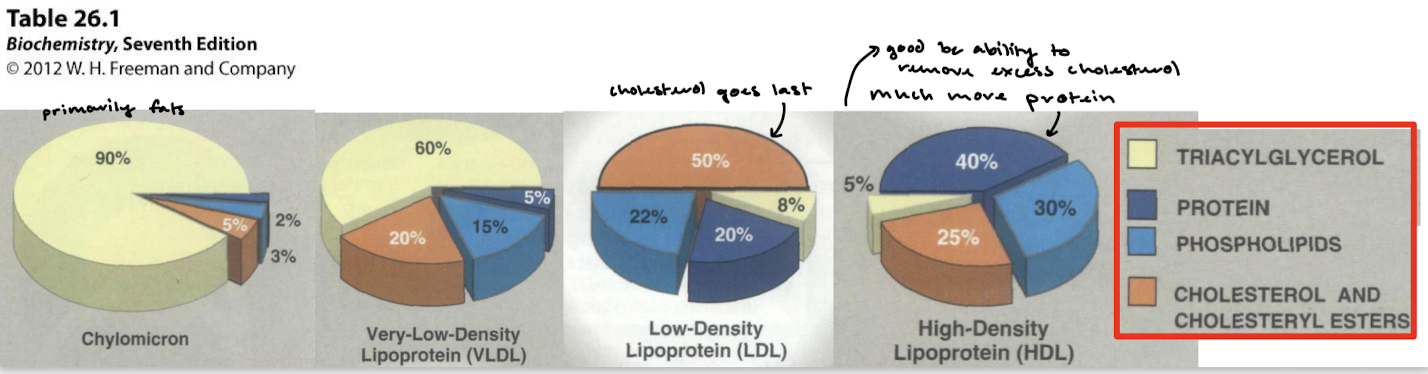 <p>Compared to TAGs and phospholipids, cholesterol is the last of the fat to leave the lipoprotein.</p>