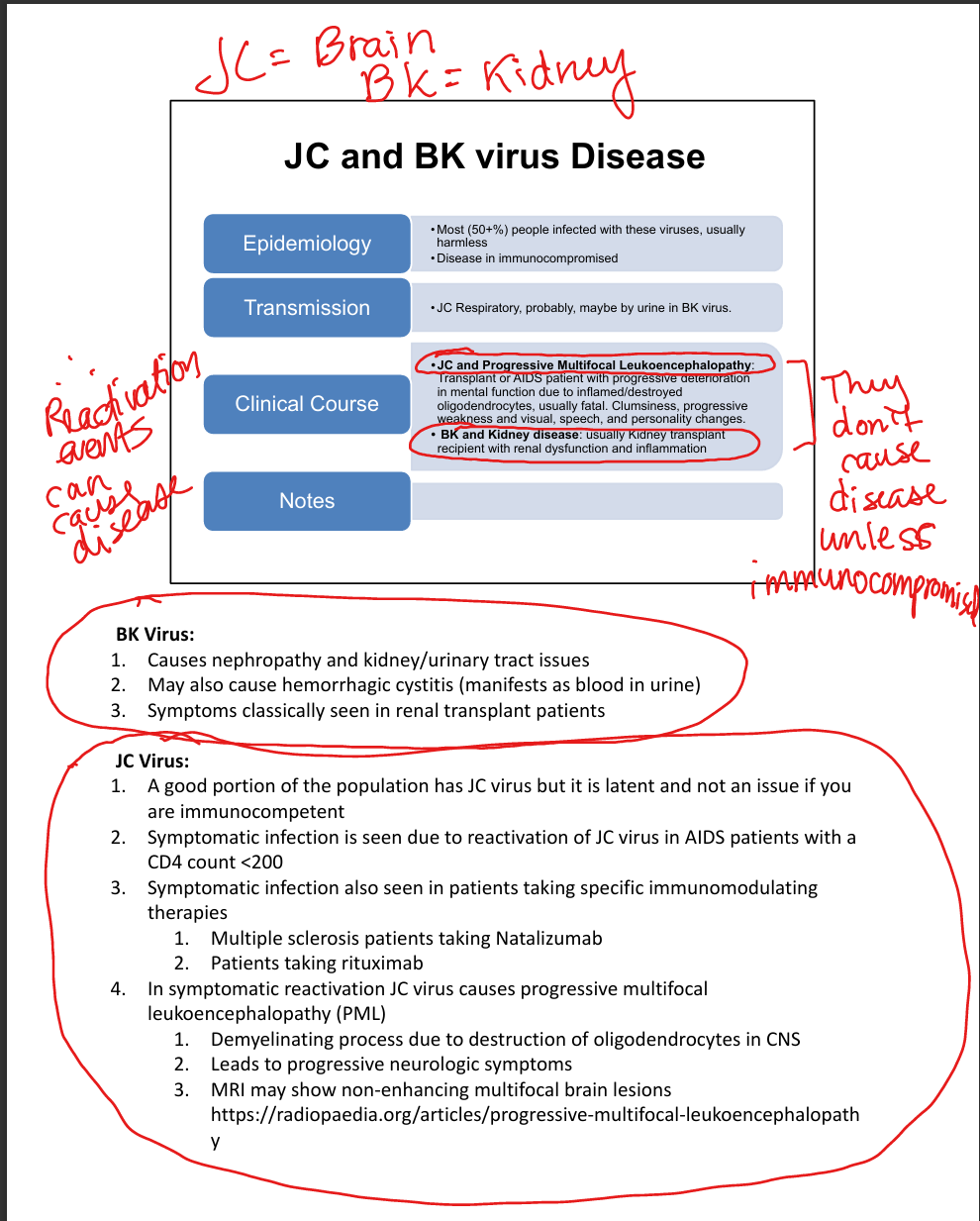 knowt flashcard image