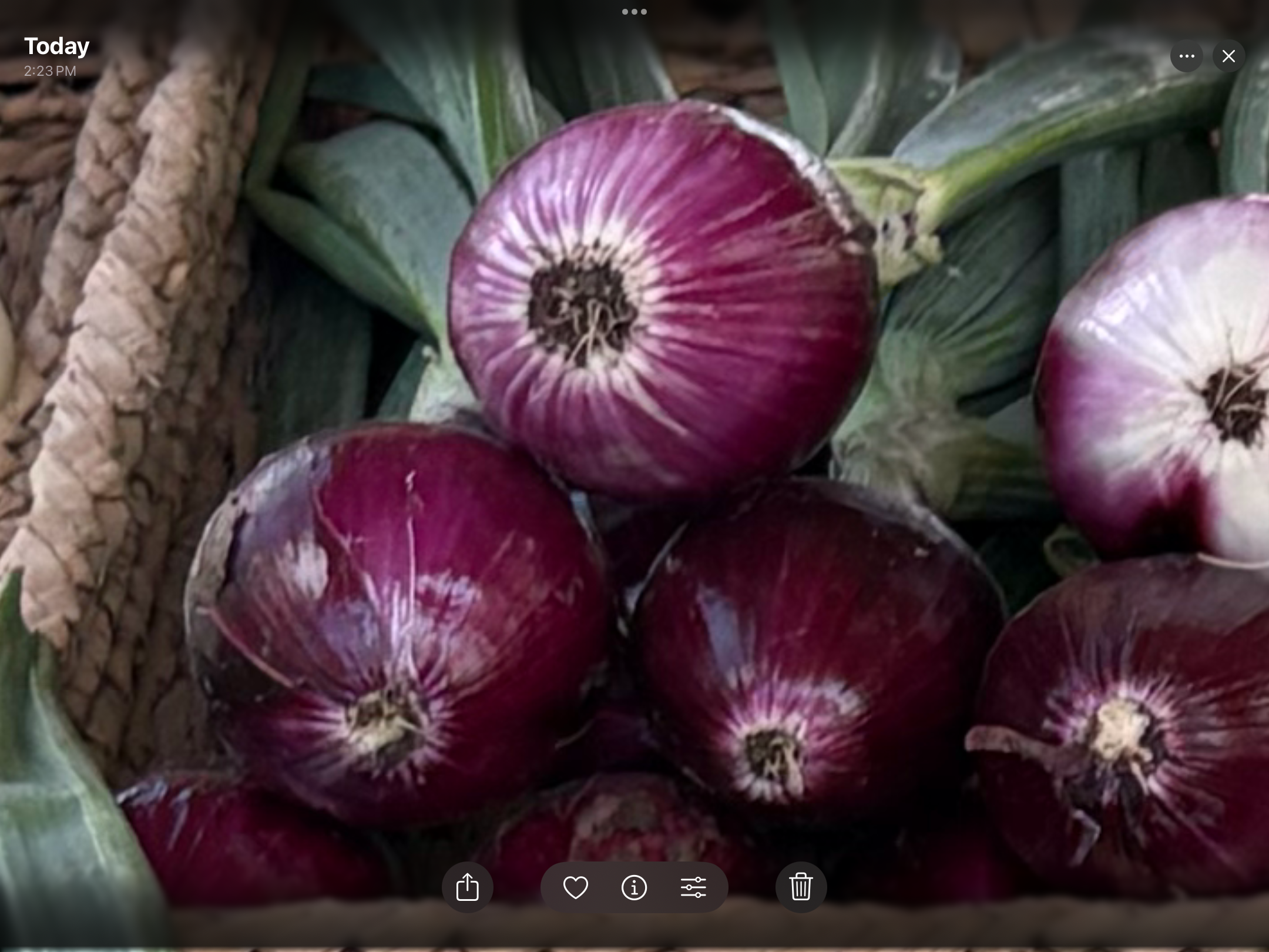 <p>Bunch of onions</p>