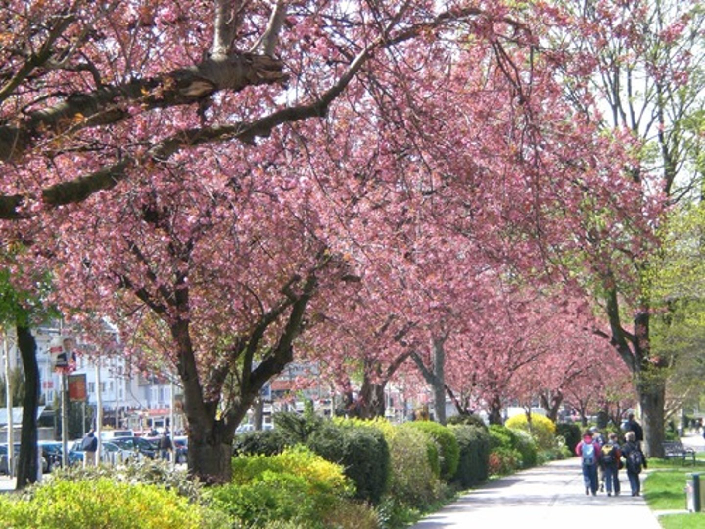 <p>thrive, prosper, blossom, do well</p><p>번창하다</p>