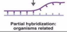 <p>organisms are related</p>
