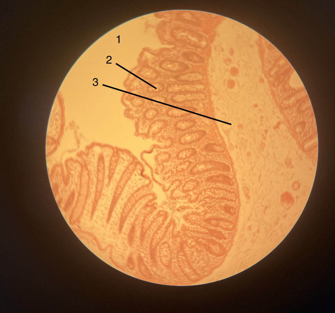 <p>2</p>