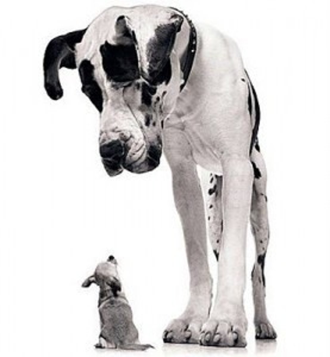 <p>big/small</p>