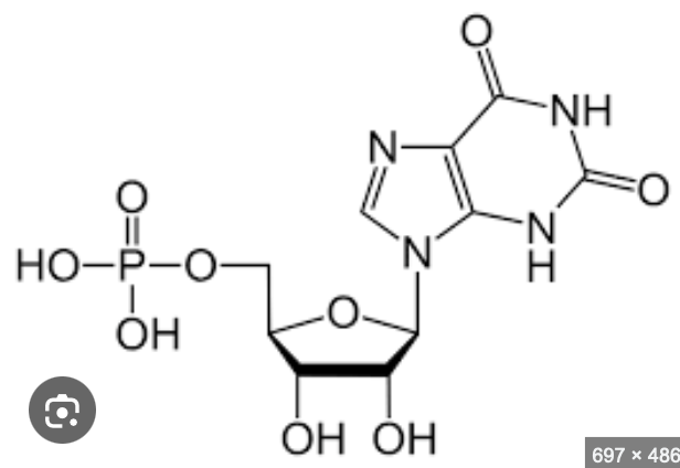 <p>what molecule is this?</p>