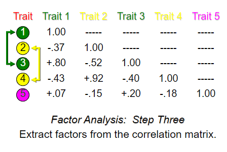 <p>Extract factors from the correlation matrix</p>