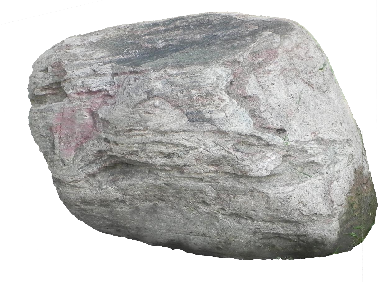 <p>litho (root)</p>