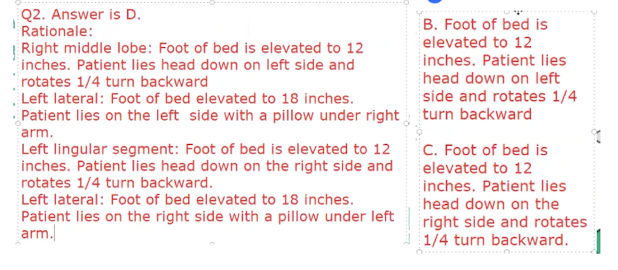 <p>D. Left lateral basal segment</p>