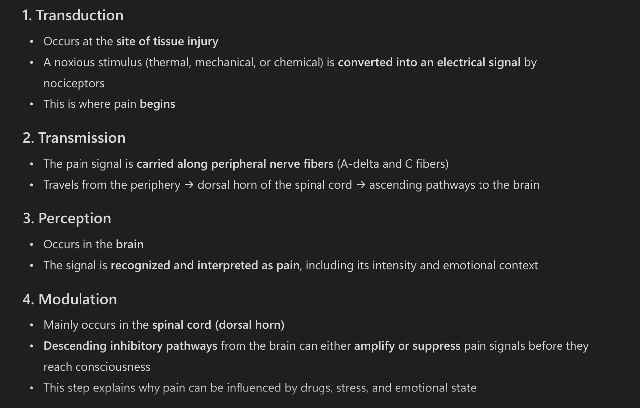 <ul><li><p><strong>Transduction:</strong> Conversion of noxious stimuli into nerve impulses at the site of injury</p></li><li><p><strong>Transmission:</strong> Propagation of pain signals from peripheral nerves to the spinal cord and brain</p></li><li><p><strong>Perception:</strong> Conscious recognition and interpretation of pain in the brain</p></li><li><p><strong>Modulation:</strong> Alteration of pain signals via descending inhibitory pathways, primarily in the spinal cord</p></li></ul><p></p>