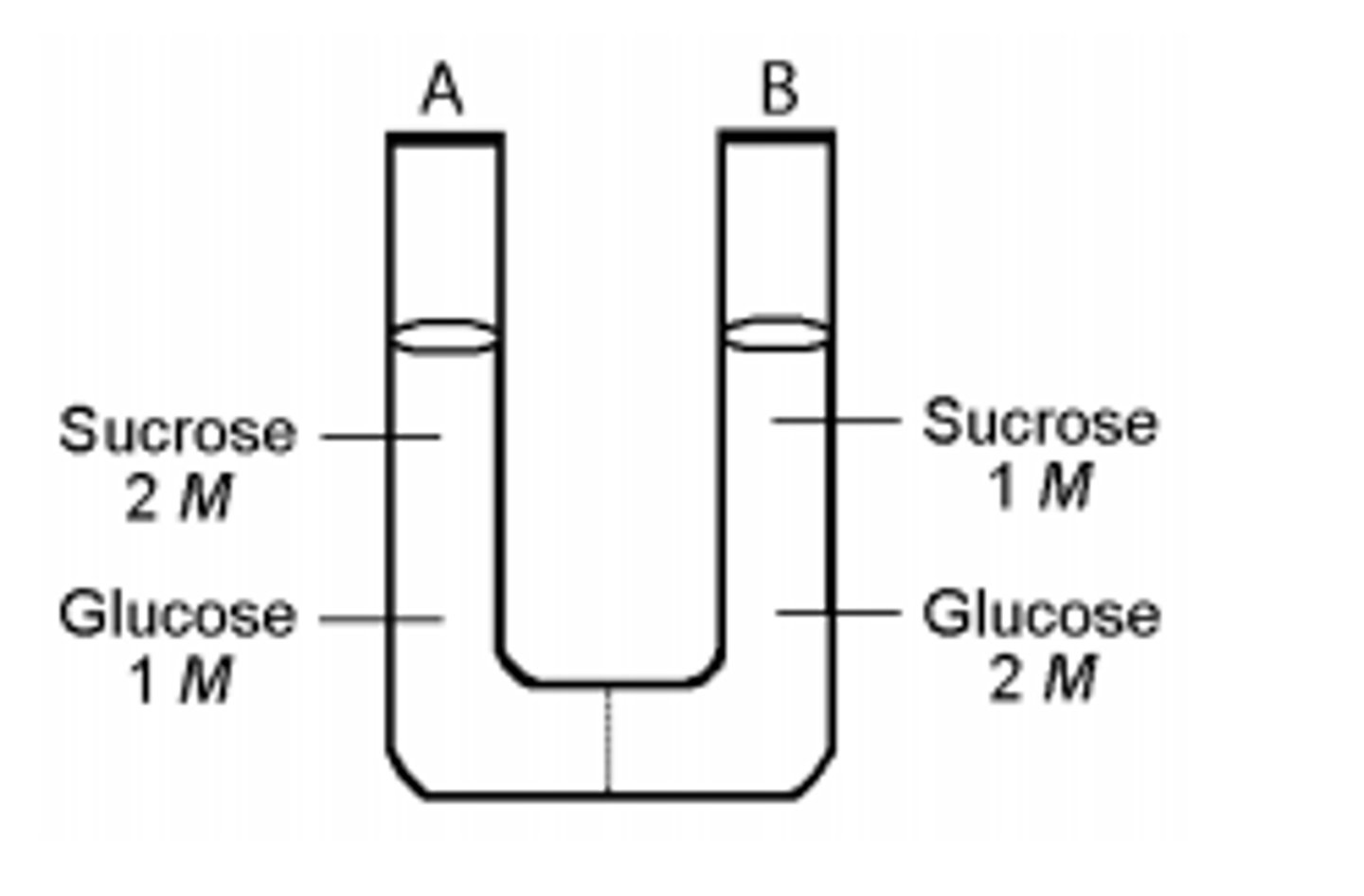<p>relates to how the solution influences the shape of body cells</p>