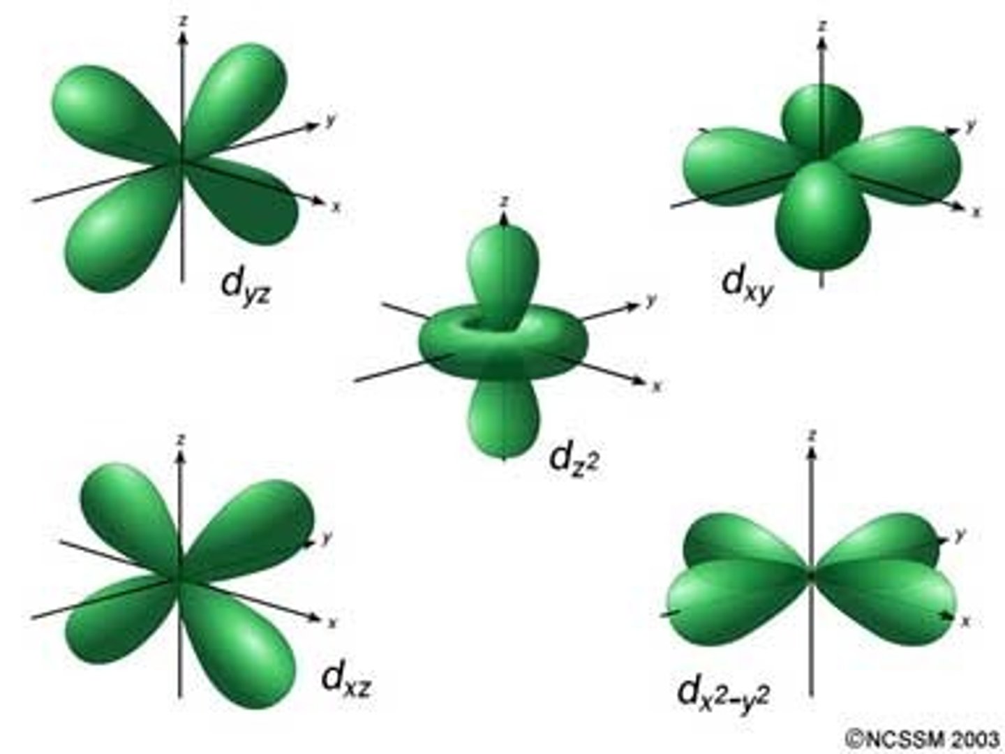 <p>clover shaped, holds 10 electrons, 5 types</p>