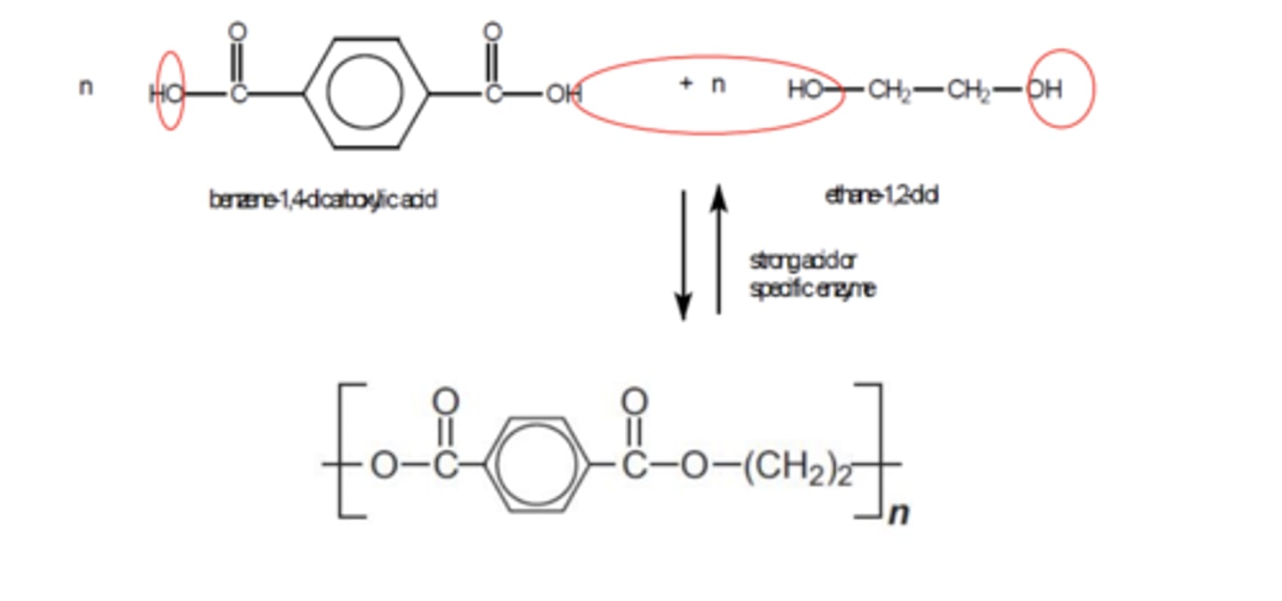 <p>Terylene</p>