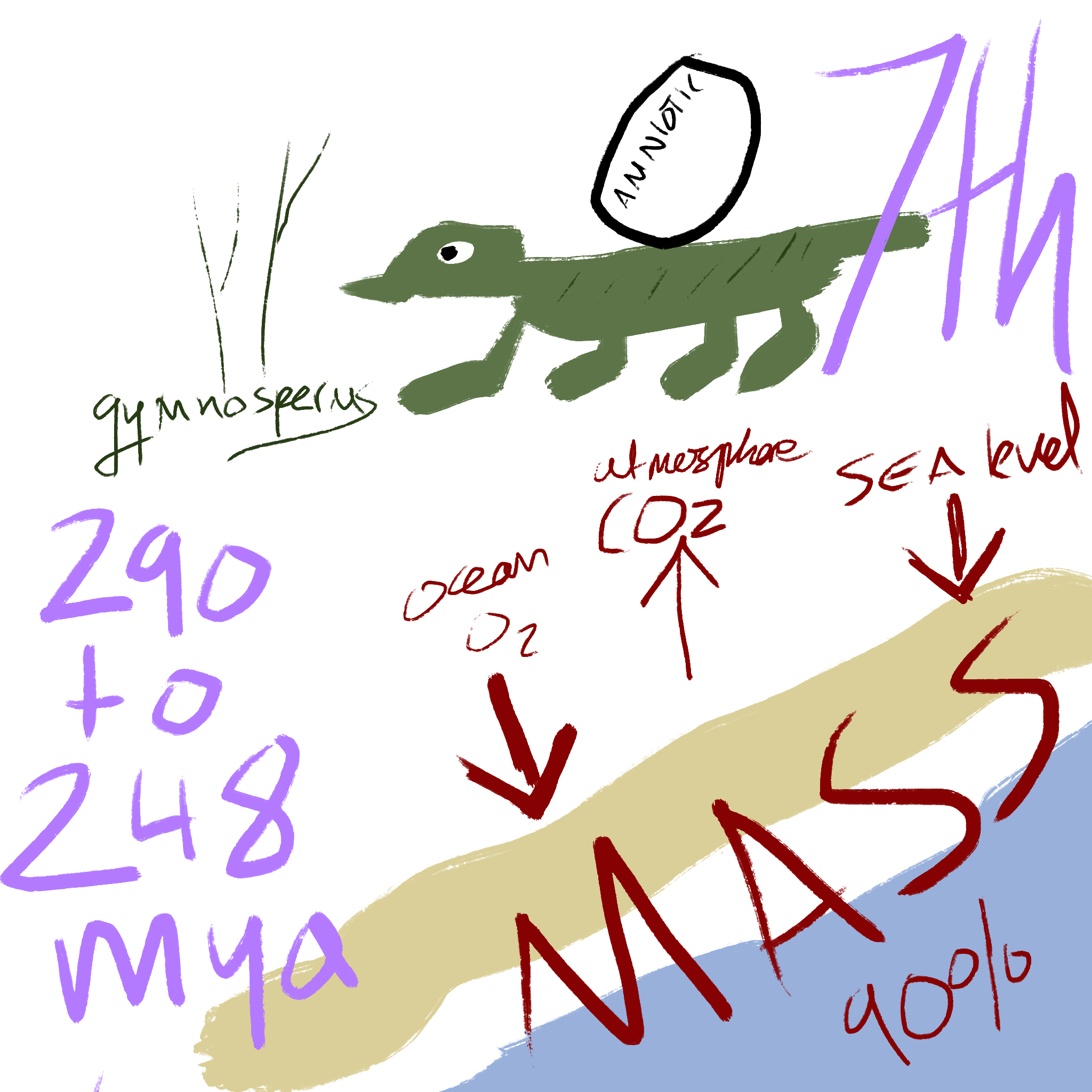<p>290 to 248 mya</p><ul><li><p>Paleozoic era</p></li><li><p>Seed plants called gymnosperms and reptiles became more prevalent</p></li><li><p>Reptiles introduced new adaptation - the amniotic egg (embryo can develop on completely dry land)</p></li><li><p>Ended with a mass extinction that wiped out more than 90% of species in shallow areas of the sea; possibly due to drop in sea level, CO2 of organic molecules accumulation in the atmosphere, depleting O2 supplies in the ocean</p></li><li><p>Happened 7th</p></li></ul>