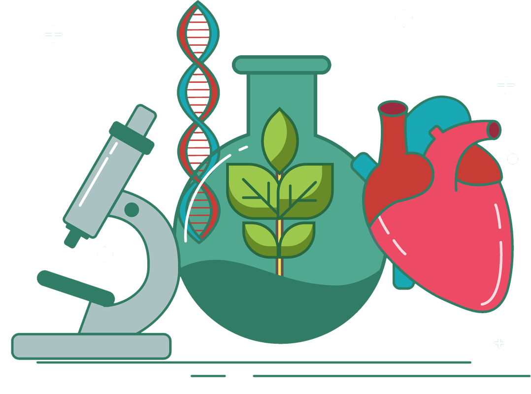 <p>Biology (n)</p>