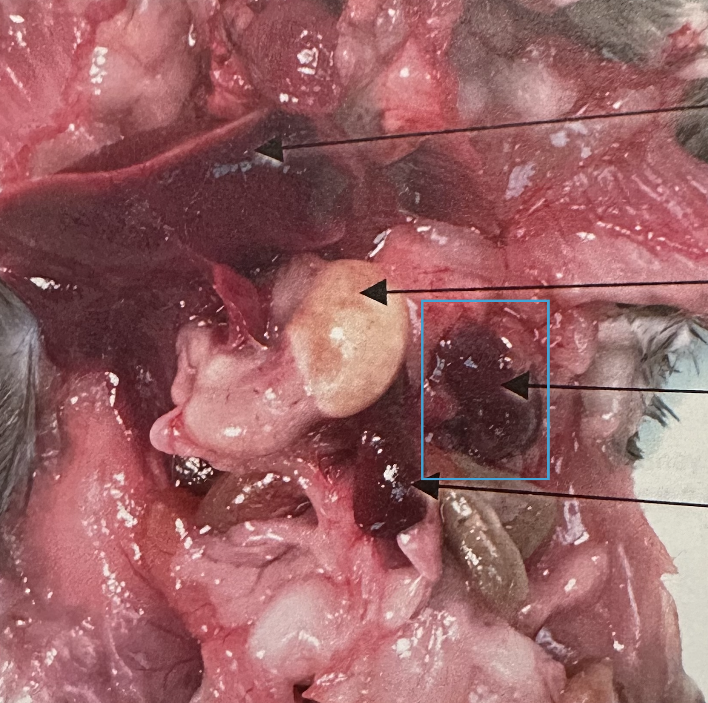 <p>What is this?</p>