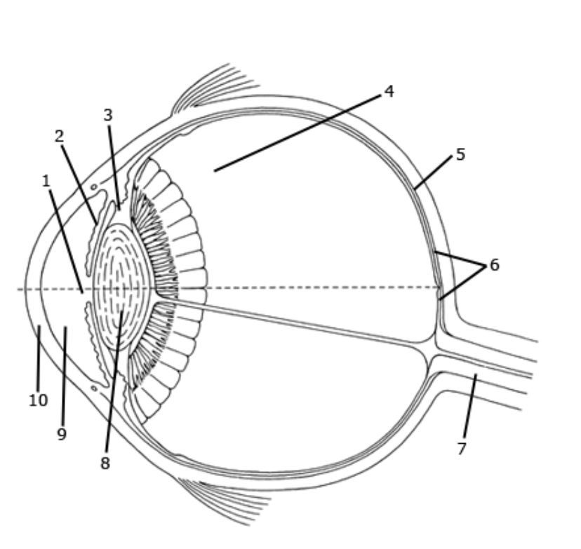 <p>What is 1 Pointing to?</p>