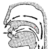 <ul><li><p>Velum is lowered</p></li><li><p>Air flows through mouth and nose</p></li></ul><p></p>