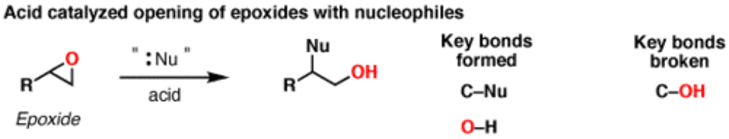 <p>H2O: trans-1,2-diol formation</p><p>ROH: trans-1,2-hydroxy-ether formation</p><p>SN2 based mechanism</p><p>Regiospecific: incoming HO or RO adds to most-sub'd C of ring</p><p>Stereospecific: anti formation of new HO group</p>