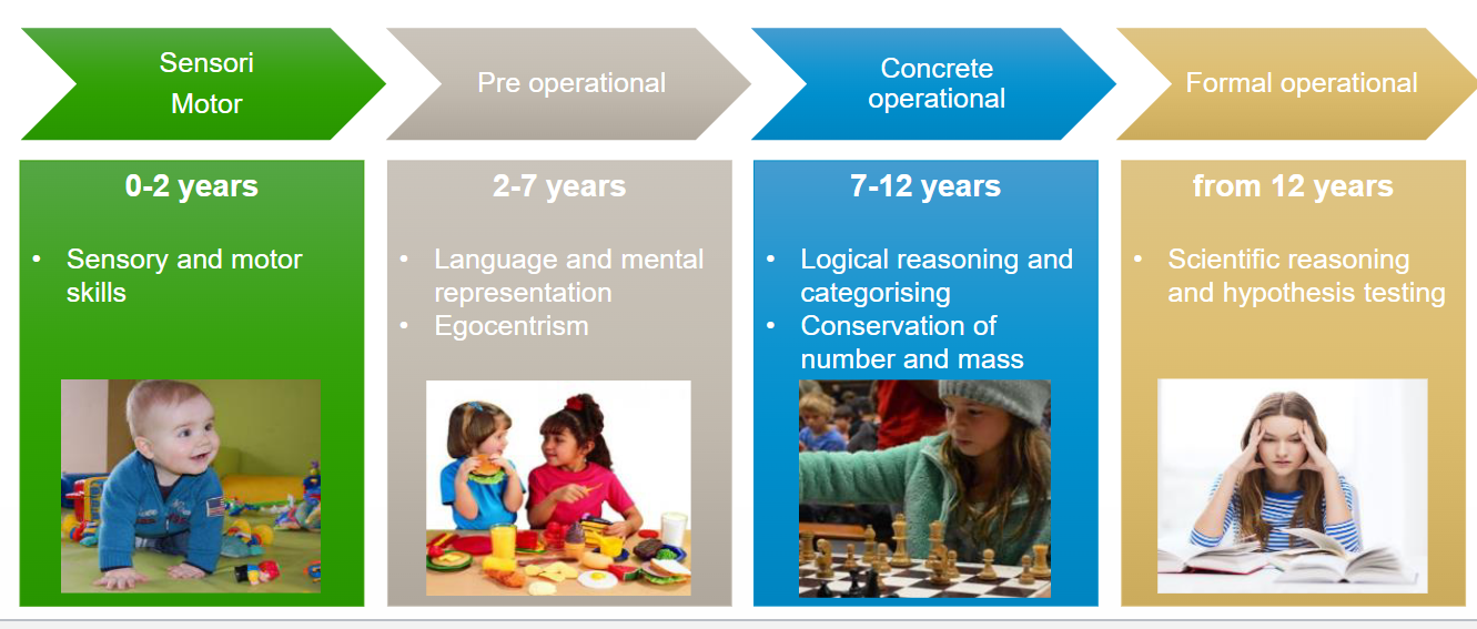 <ol><li><p><strong>Sensorimotor</strong> (0-2 years)</p><ul><li><p>Sensory and motor skills</p></li></ul></li><li><p><strong>Pre-operational</strong> (2-7 years)</p><ul><li><p>Language and mental representation</p></li><li><p>Egocentrism</p></li></ul></li><li><p><strong>Concrete operational</strong> (7-12 years)</p><ul><li><p>Logical reasoning and categorising</p></li><li><p>Conservation of number and mass</p></li></ul></li><li><p><strong>Formal operational</strong> (from 12 years)</p><ul><li><p>Scientific reasoning and hypothesis testing</p></li></ul></li></ol><p></p>