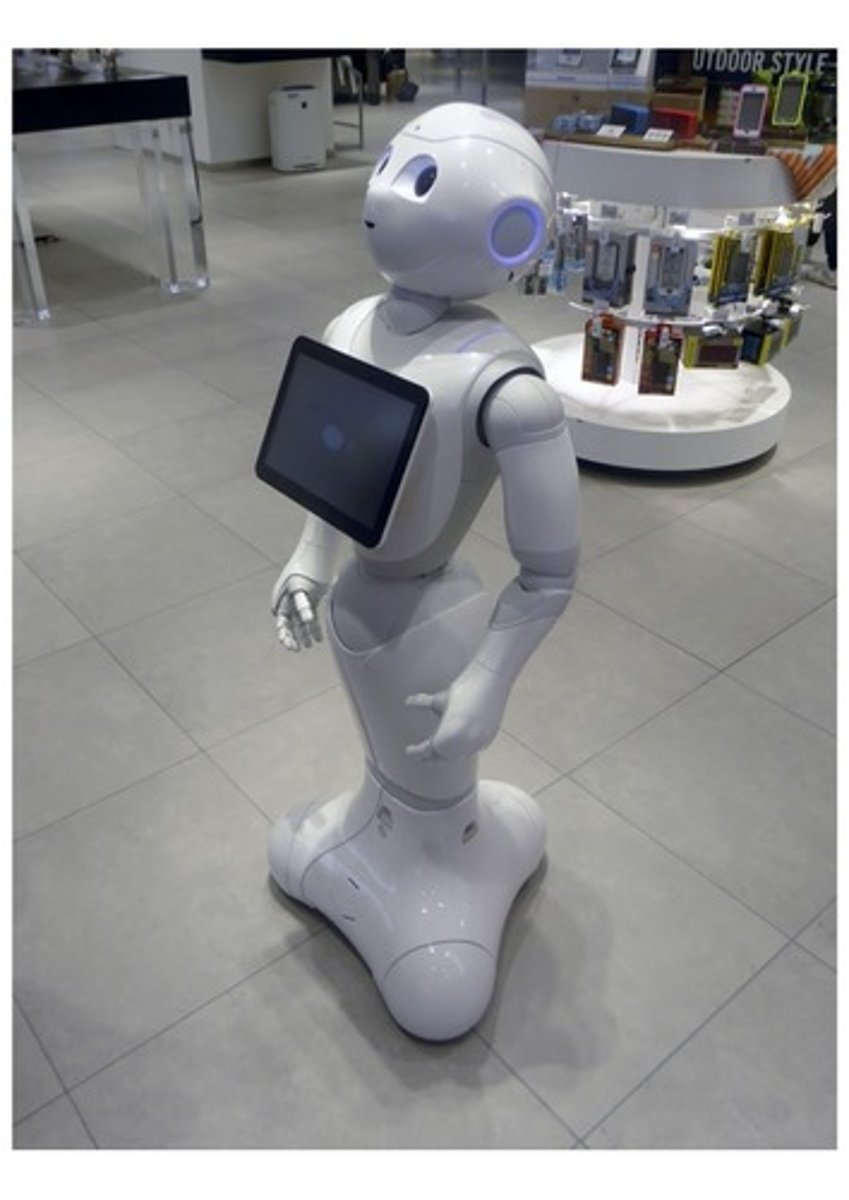 <p>Where was the robot "Pepper" developed?</p>