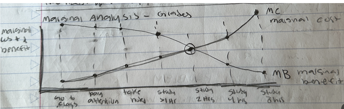 <p>Marginal benefit vs marginal cost </p>