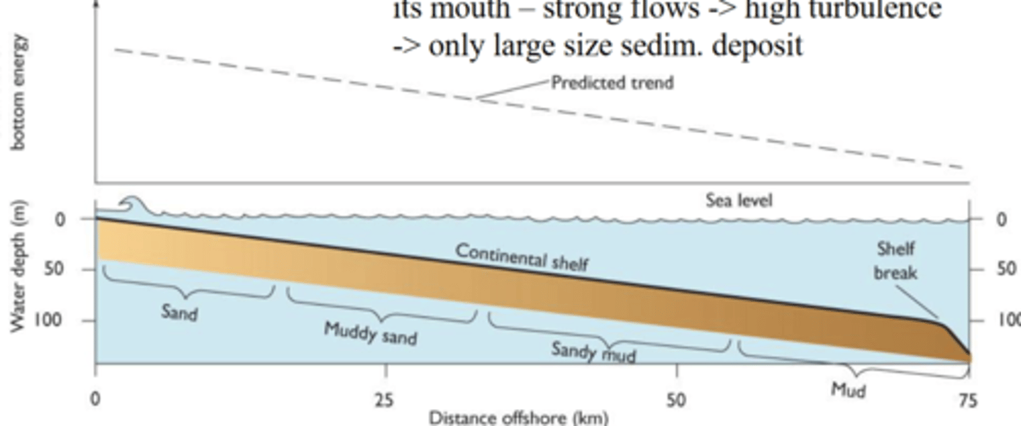 <p>Particle size decreases with distance. Energy decreases away from shore so smaller particles settle farther away</p>