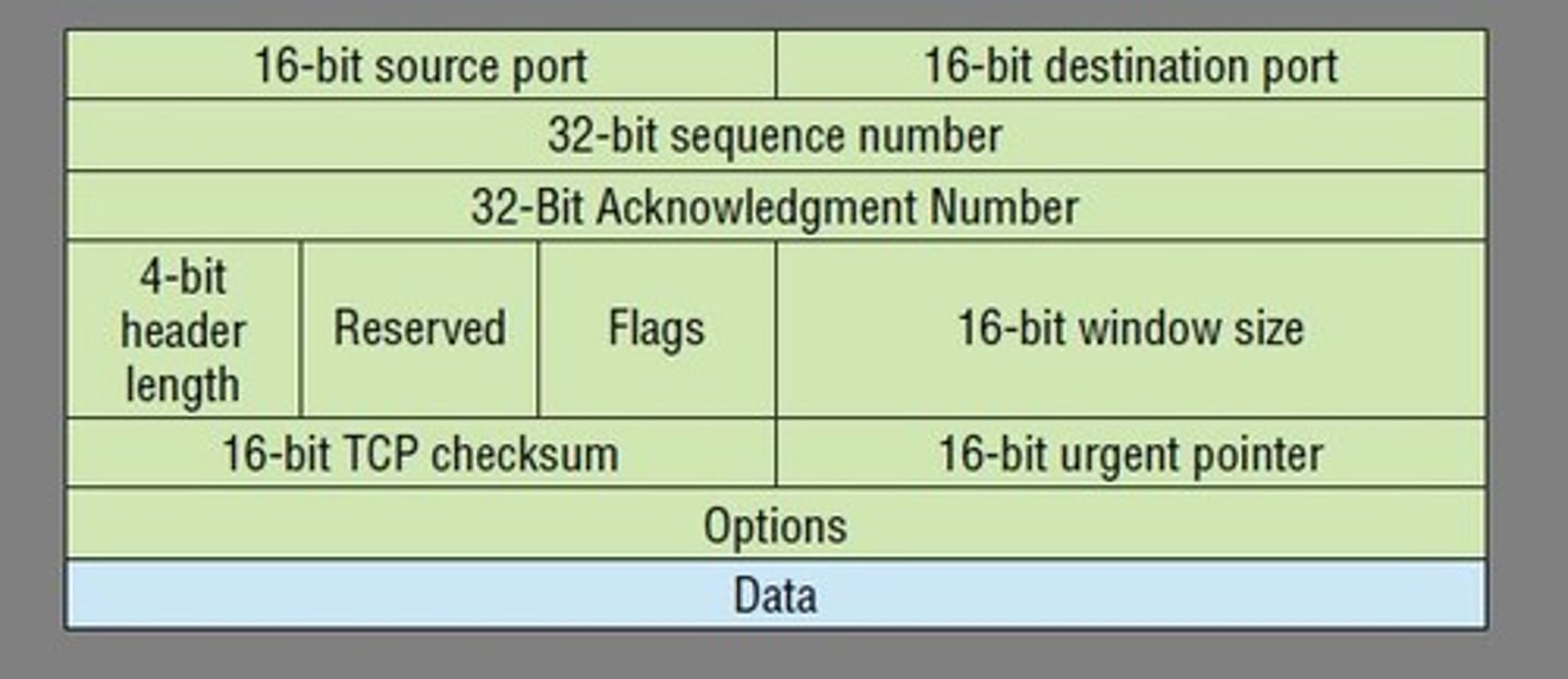 <p>20 bytes</p>