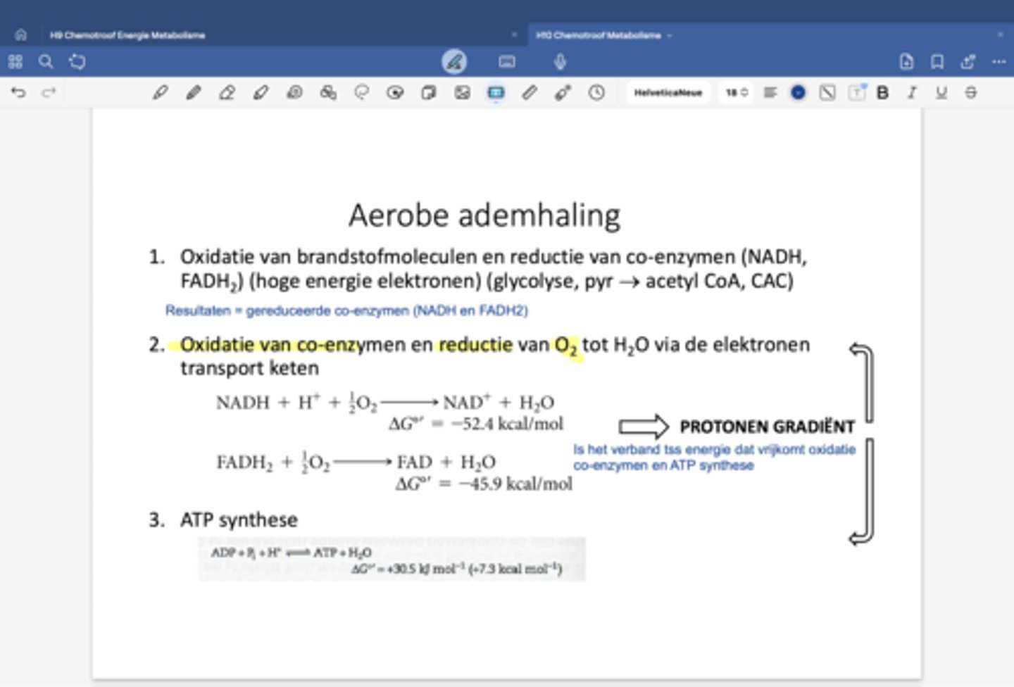 <p>1) Oxidatie van brandstofmolecule en reductie van co-enzymen (NADH, FADH2) (glycolyse, pyr => acetyl coA, CAC)</p><p>2) oxidatie van co-enzymen en reductie van O2 tot H2O via elektronentransportketen</p><p>3) ATP synthese die mogelijk is door de protonengradient die is ontstaan in de elektronentransportketen</p>
