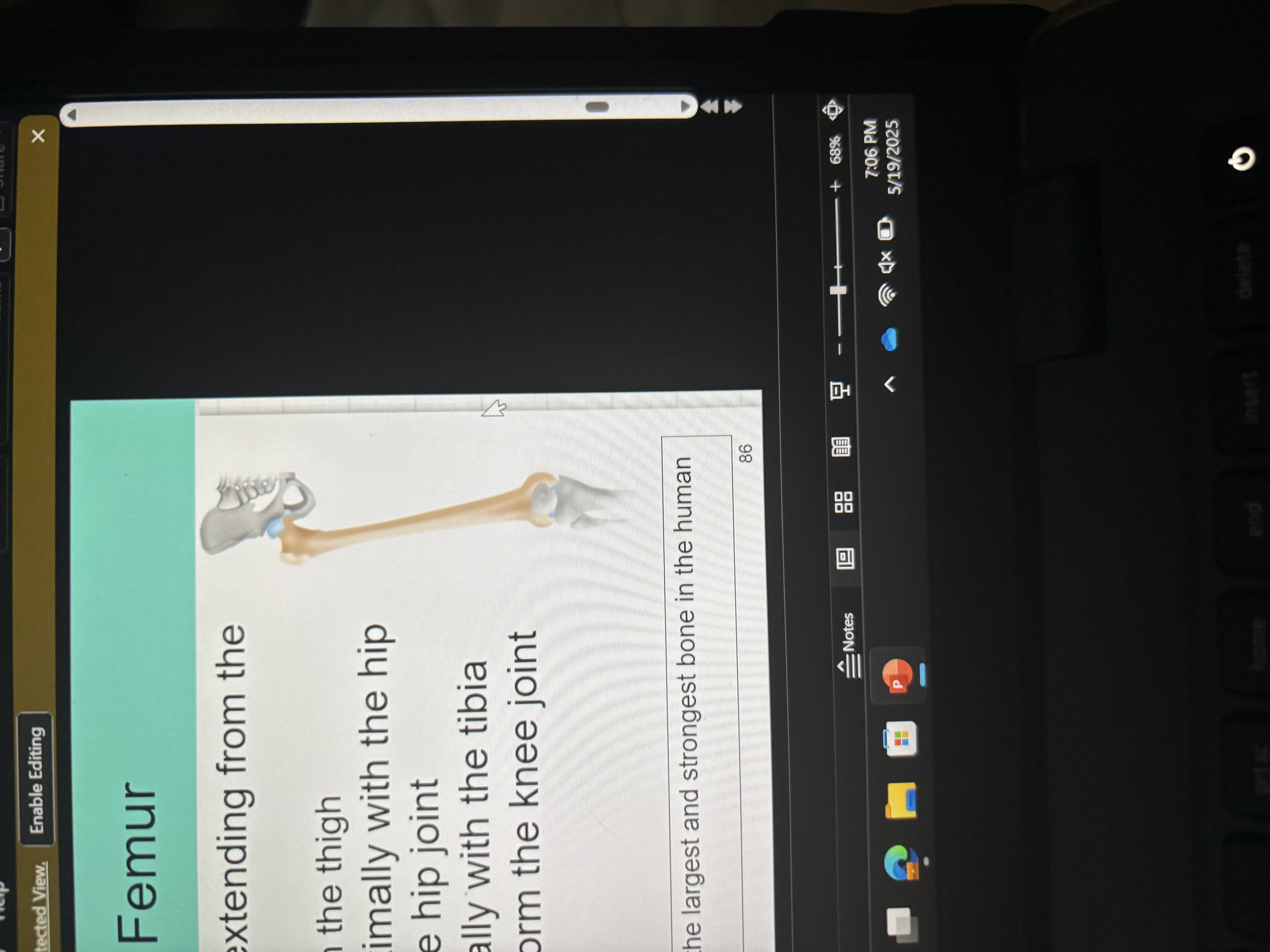 knowt flashcard image