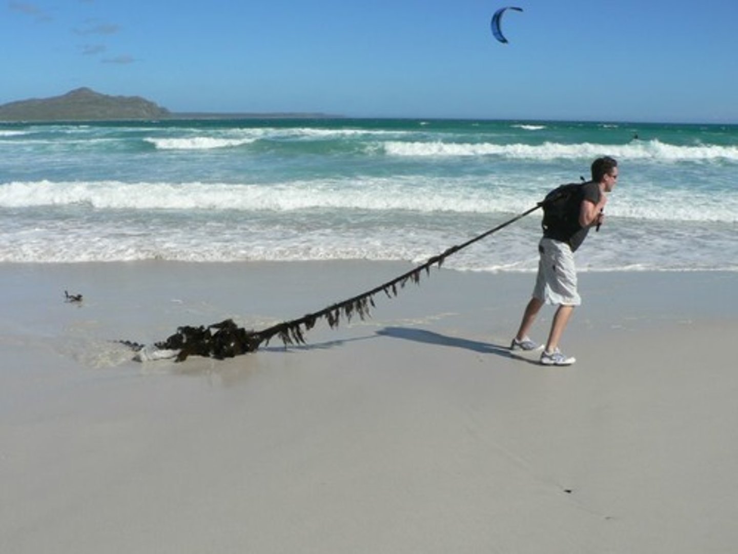 <p>to drag (llevar por el suelo)</p>