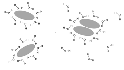 <p>How does entropy increase with hydrophobic regions in proteins clustering together?</p>