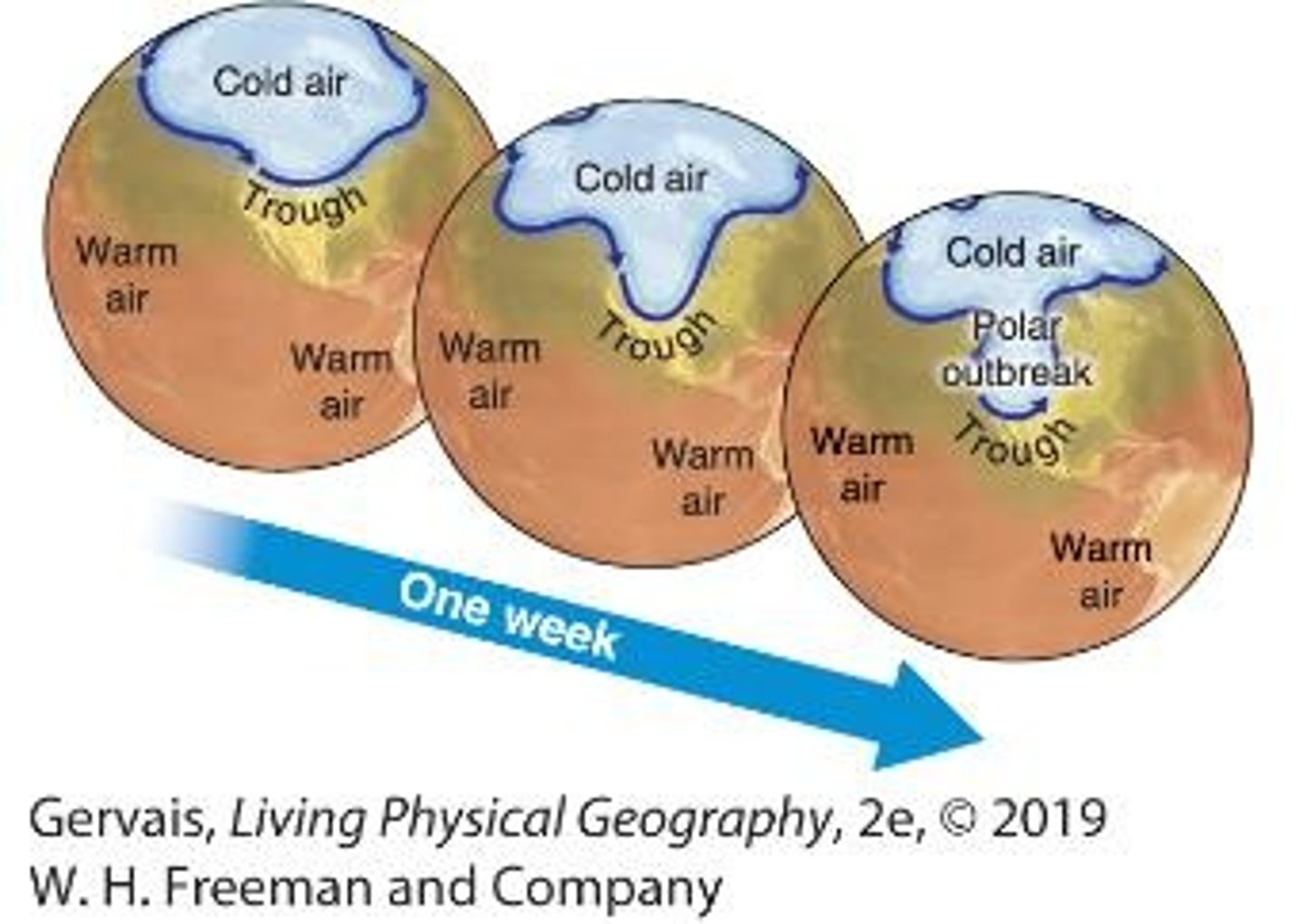 <p>Meridional pattern.</p>