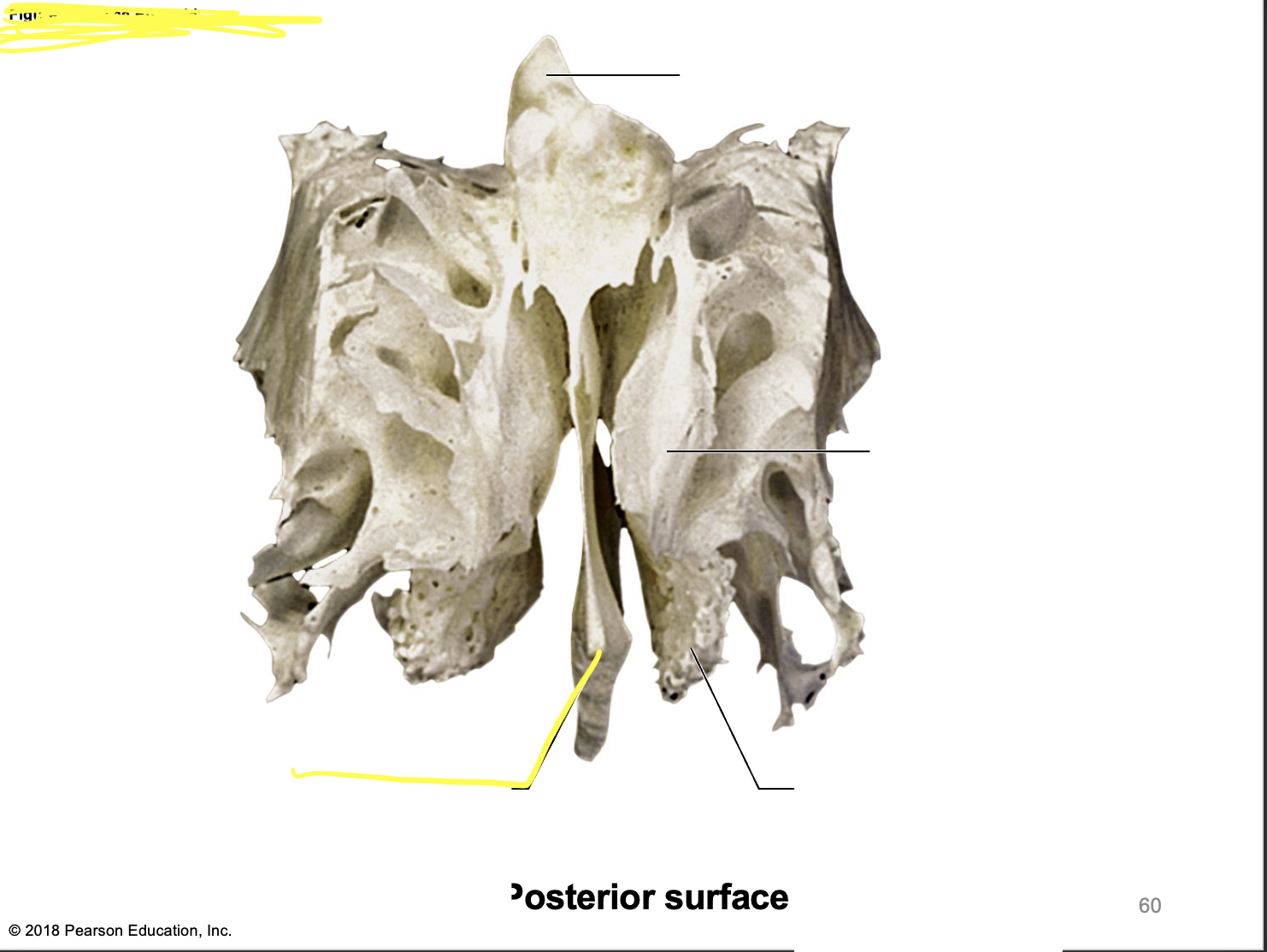 <p>What is the structure?</p>