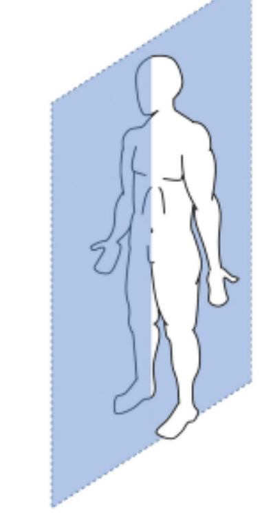 What is a sagittal plane