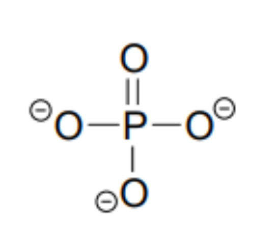 <p>phosphate group (PO4)</p>