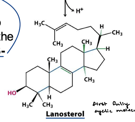 <p>Lanosterol</p>