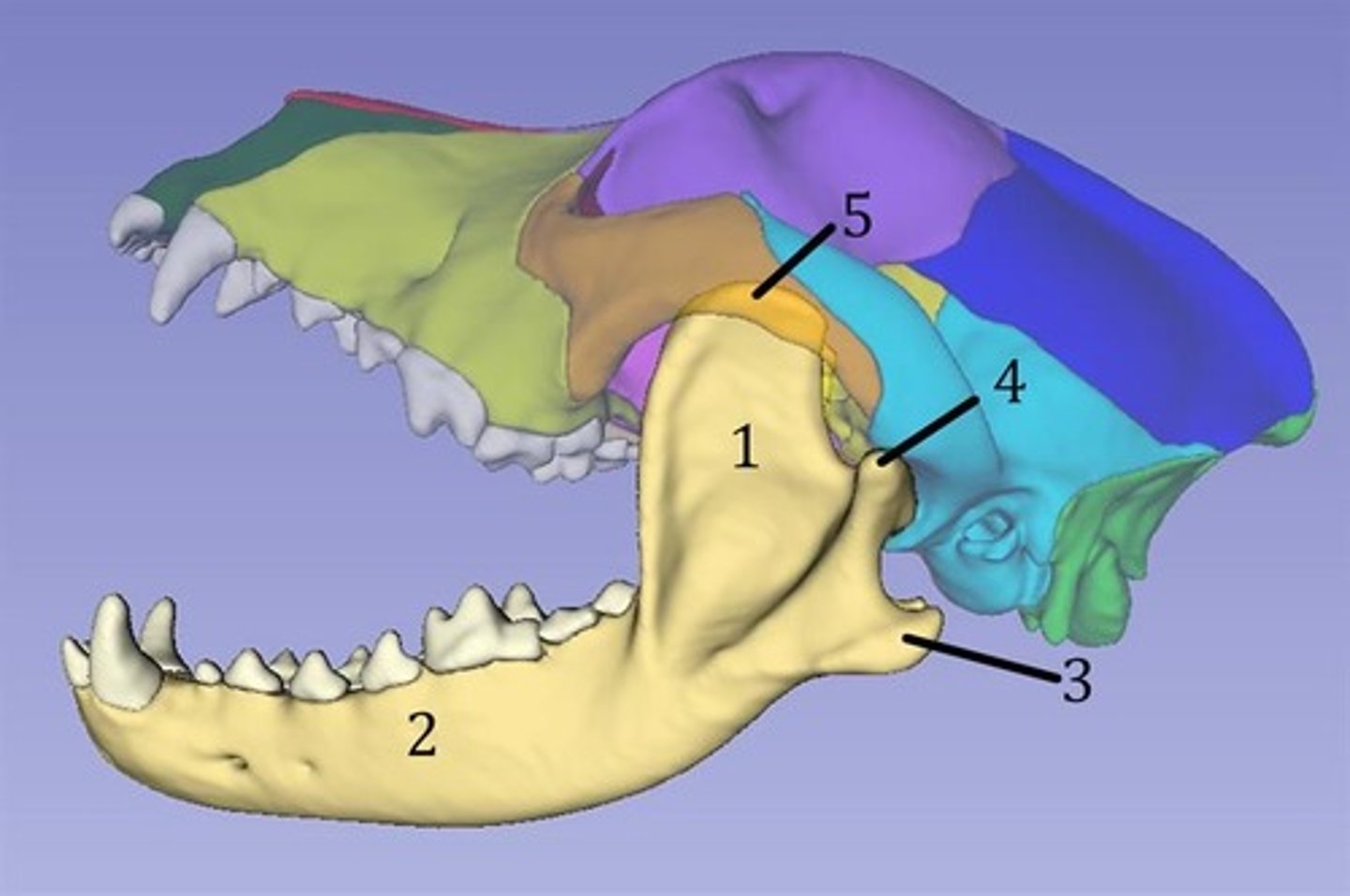 <p>4?</p>