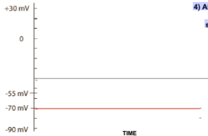 1) Draw a graph of the membrane potential over time after the generation and propagation of an AP in normal conditions and:

2) with a toxin that inhibits the VGNaC;

3) with a toxin that prevents VGKC channels from opening.

4) After a toxin blocks the VGNaC  \n or the VGKC, would the  \n stimulus be able to generate  \n and propagate an action  \n potential?