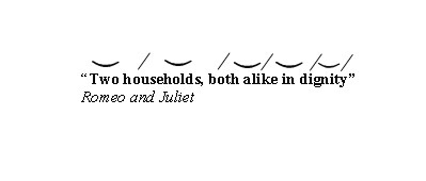 <p>a line of poetry made of five iambs (an unaccented syllable followed by an accented syllable), making the line 10 syllables long</p>