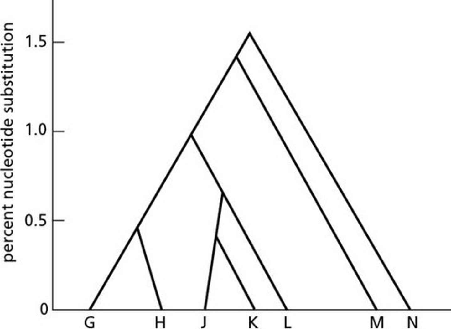 <p>In the third, innermost membrane.</p>