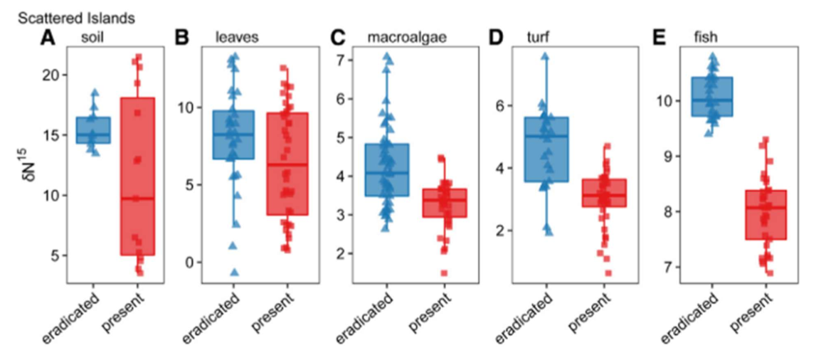 <p>The authors measured the stable isotope ratio of nitrogen (δ15N). A high proportion of 15N over 14N indicates seabird-derived nutrients because seabirds feed on fish that are at higher trophic levels. </p>