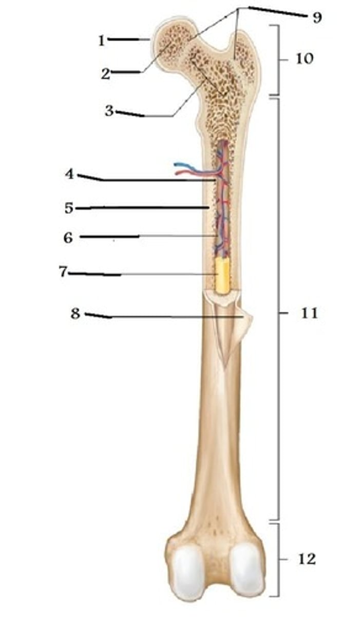 <p>Structure at 5</p>
