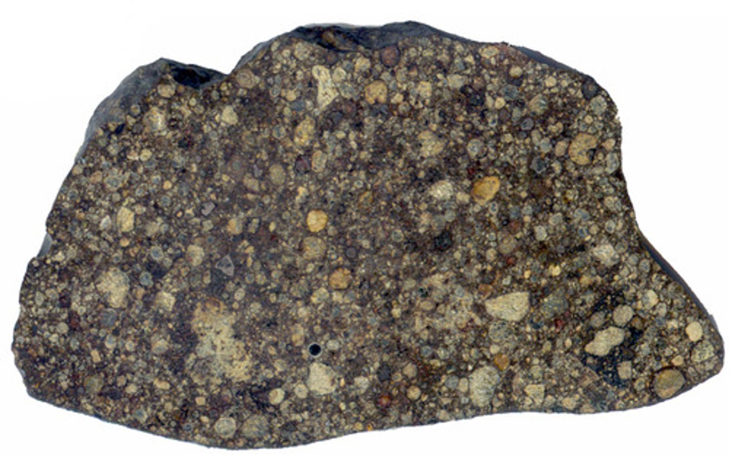 <p>Earth is abundant with them; they contain Chondrules (cooled molten droplets from hot nebular gas) and have the same composition as the sun.</p>