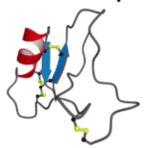 <p>what motif? what active site?</p>